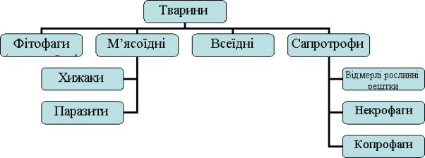 Зображення, що містить текст, знімок екрана, Шрифт, число

Автоматично згенерований опис